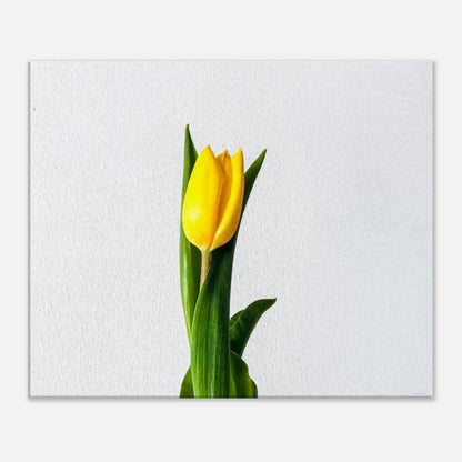 d7e2f67c-23e8-46fb-81df-7d8d5afc15d9