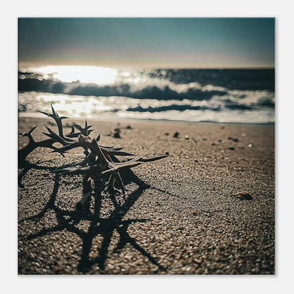 d7f4c2bf-2780-47f1-a113-b0557ea9a351