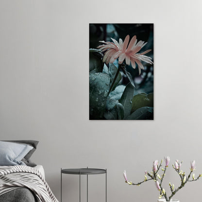 d80a28d7-78e0-4842-a0fa-a619255f6f01