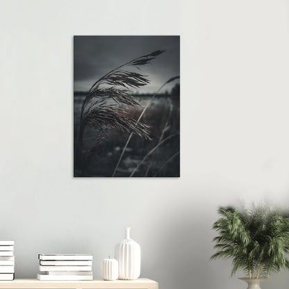 d826a9ae-f31f-47a8-b658-e9c93a91e9cc