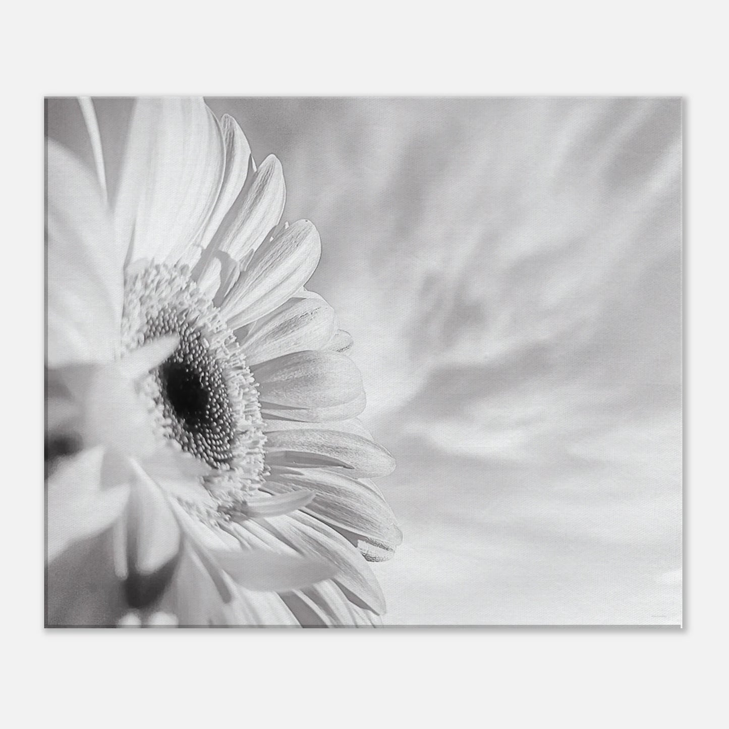 d8289c01-4f54-4245-973e-1471263daba5