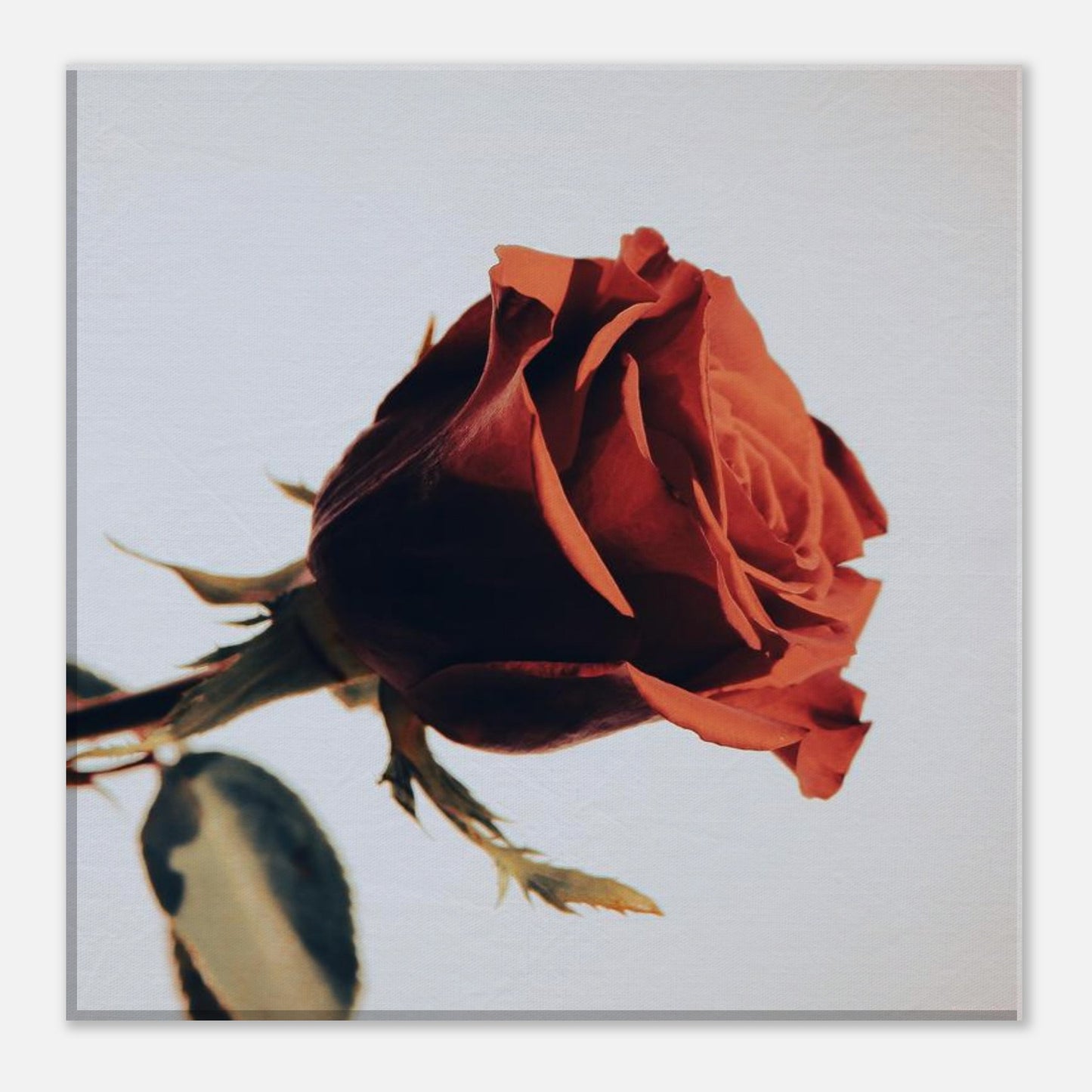 d829a78b-2cd9-47be-adc5-80625f086b04