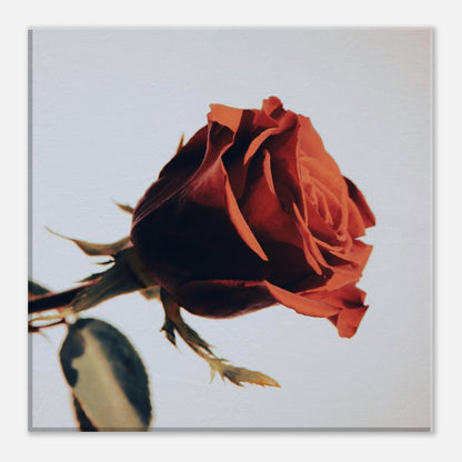 d829a78b-2cd9-47be-adc5-80625f086b04