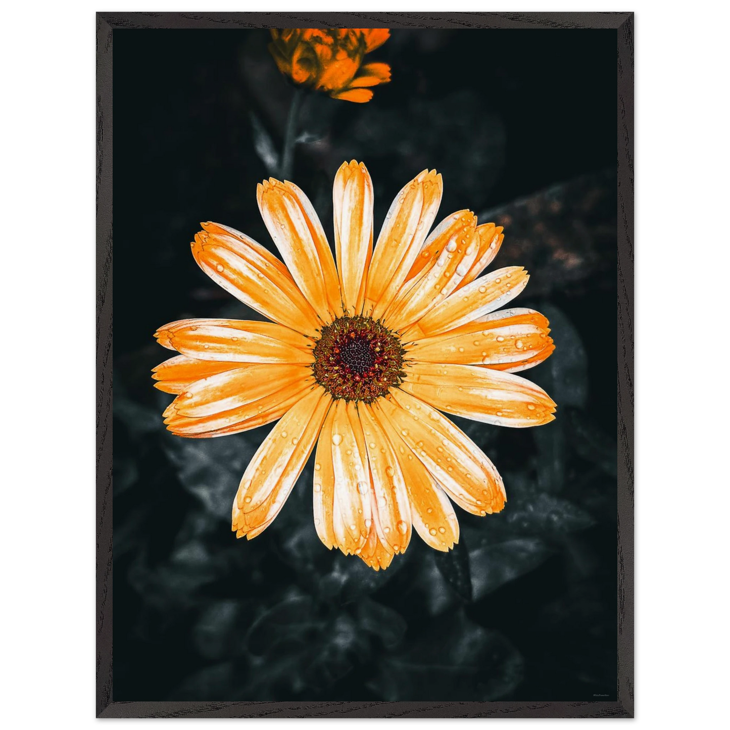 d831dd8a-9568-49d7-8735-3cc3a525977b