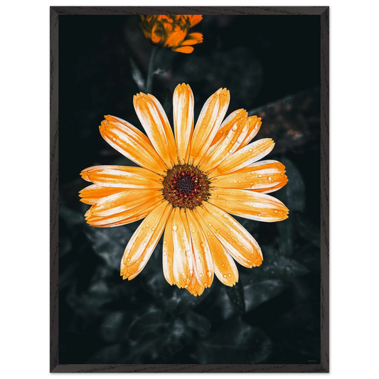 d831dd8a-9568-49d7-8735-3cc3a525977b
