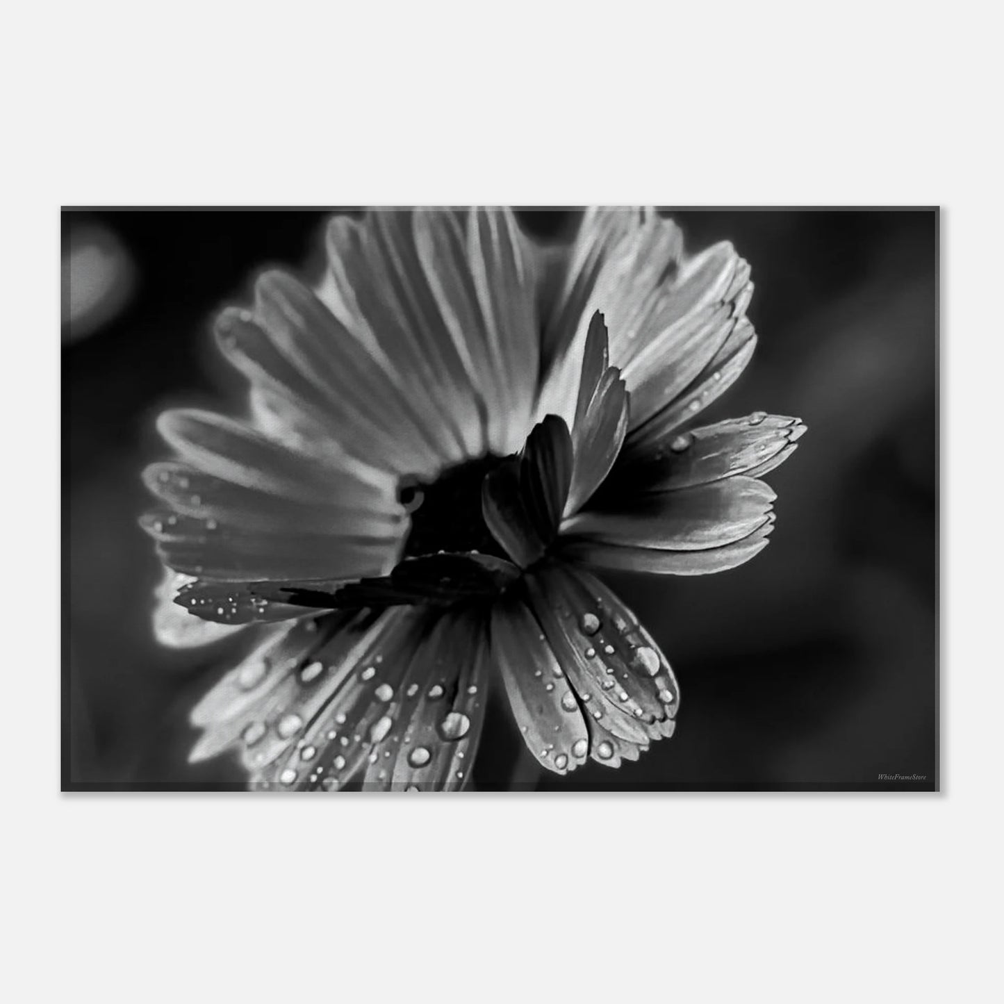 d83ad376-9aa8-4ea9-9bc0-563eae79ac8b