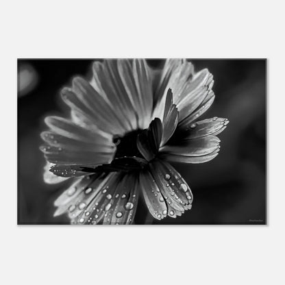 d83ad376-9aa8-4ea9-9bc0-563eae79ac8b