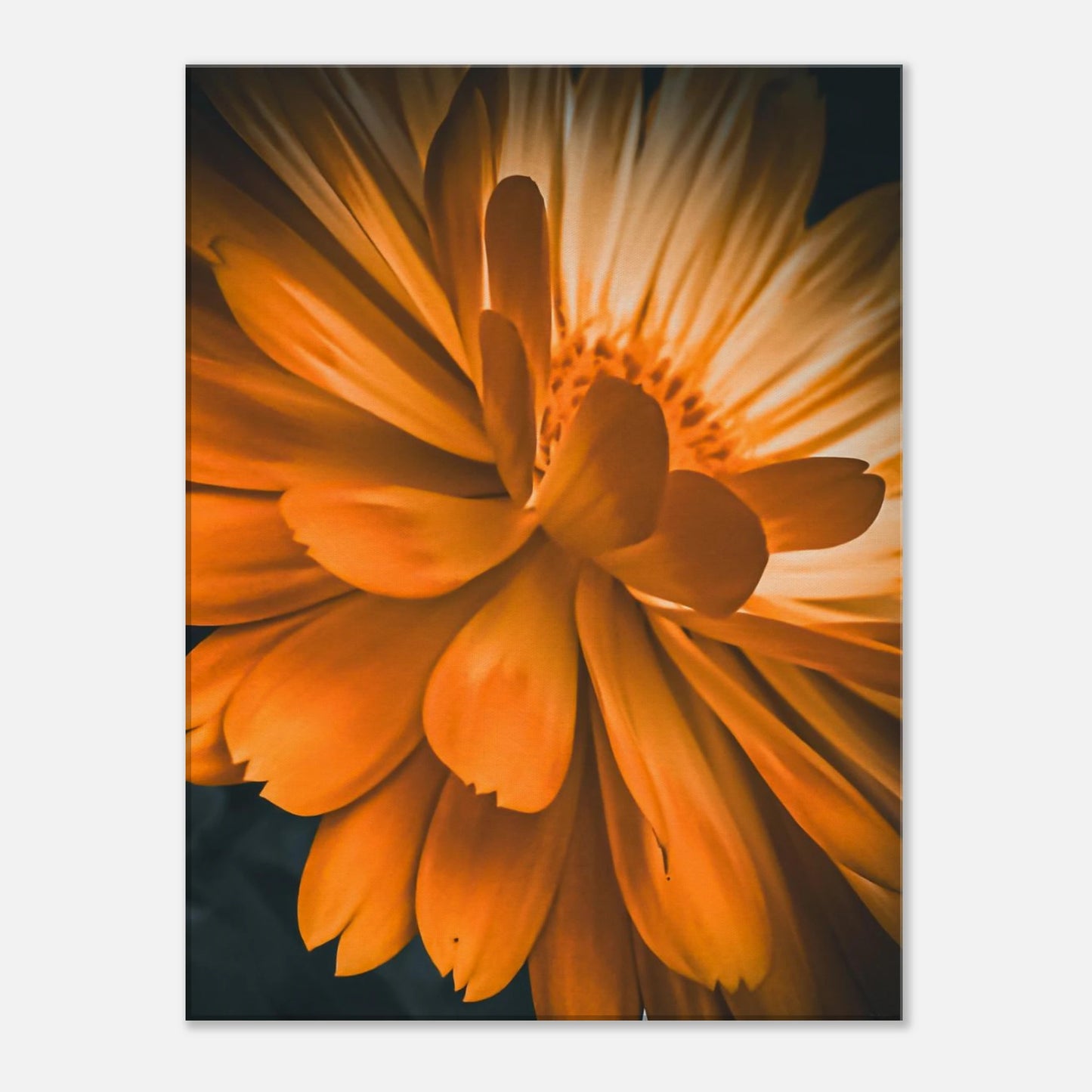 d856aafb-825c-4a80-9237-e3179297ba85