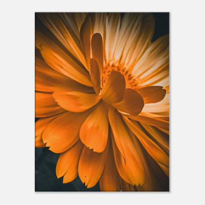 d856aafb-825c-4a80-9237-e3179297ba85