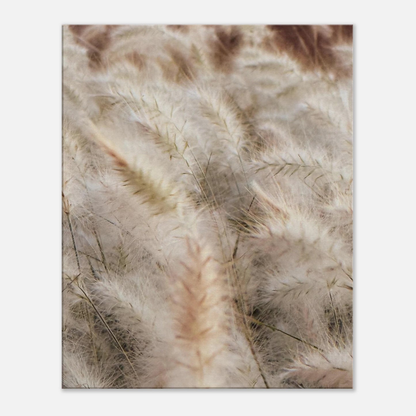 d8638084-947c-4997-98e1-7c04ed2e4569