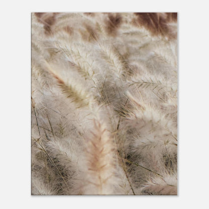 d8638084-947c-4997-98e1-7c04ed2e4569