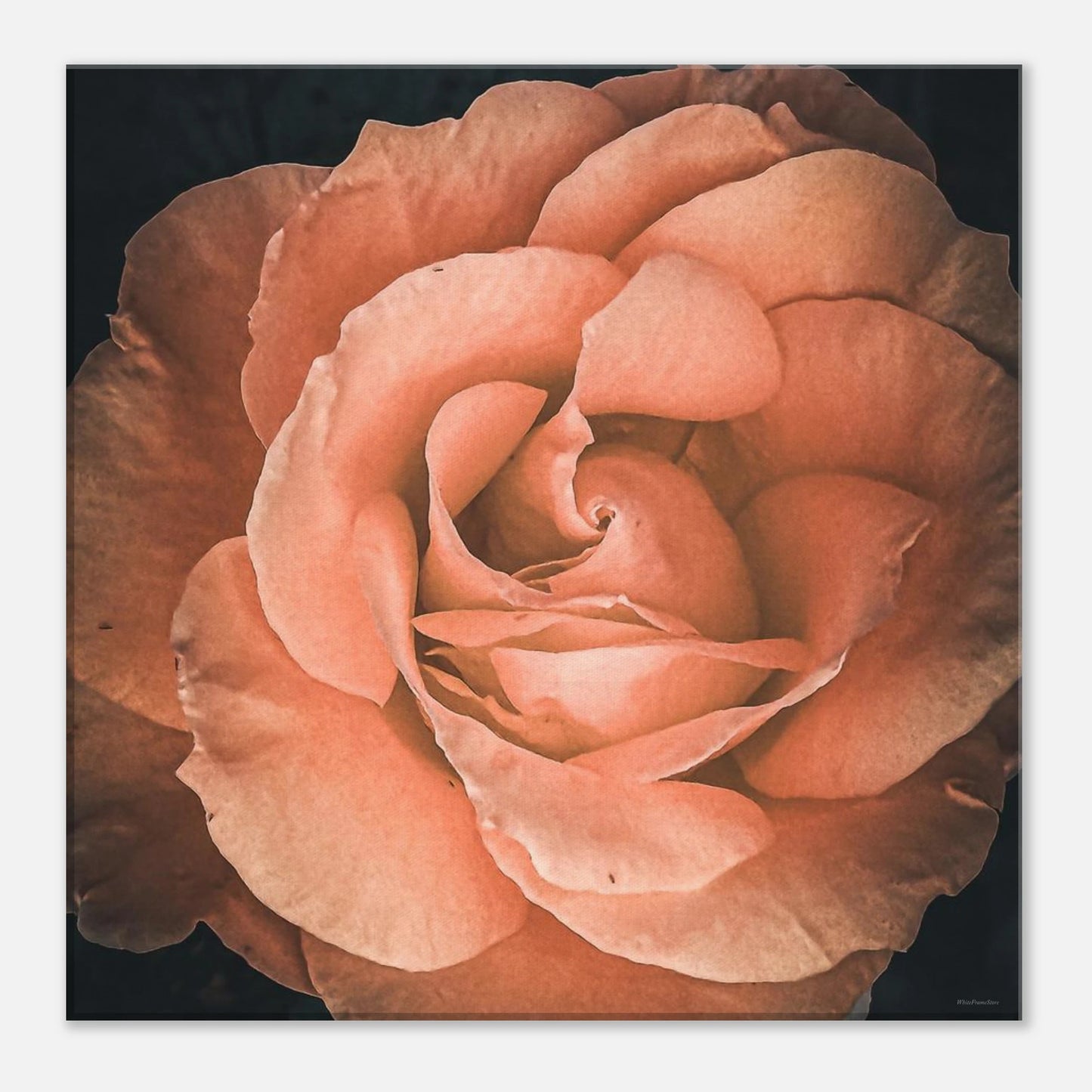 d86ff00d-af5b-498e-8376-273fa84b5f9a