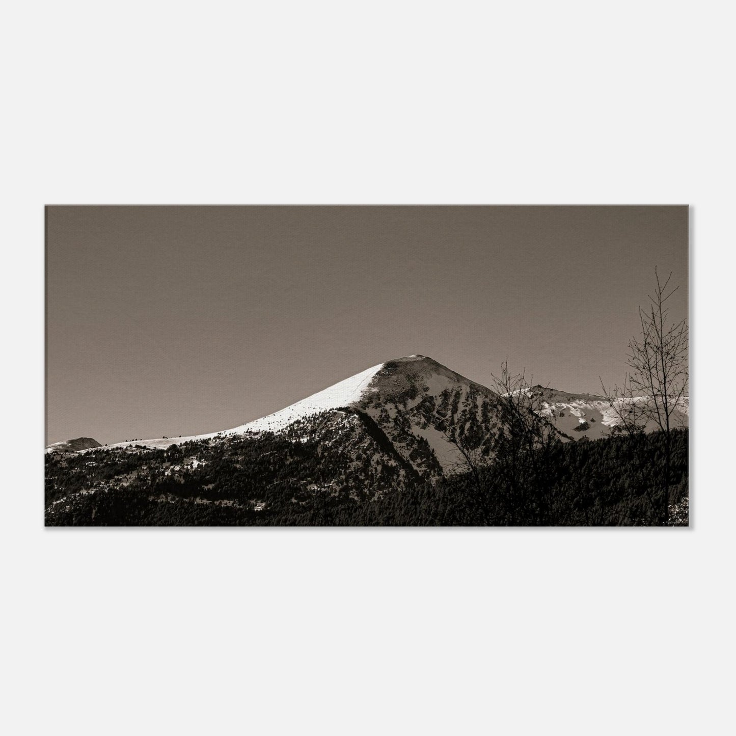 d8753876-e5c0-4933-be77-bedfcdd79447