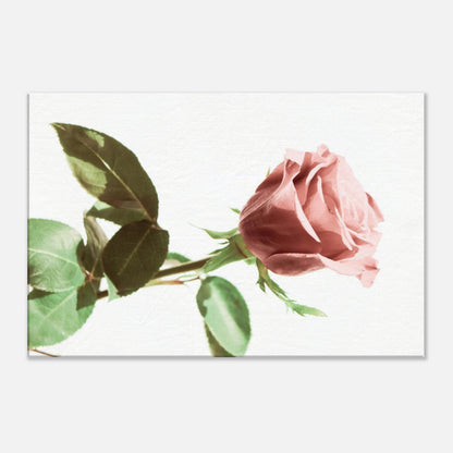 d87db251-f337-42cc-ae9c-d4516930eada