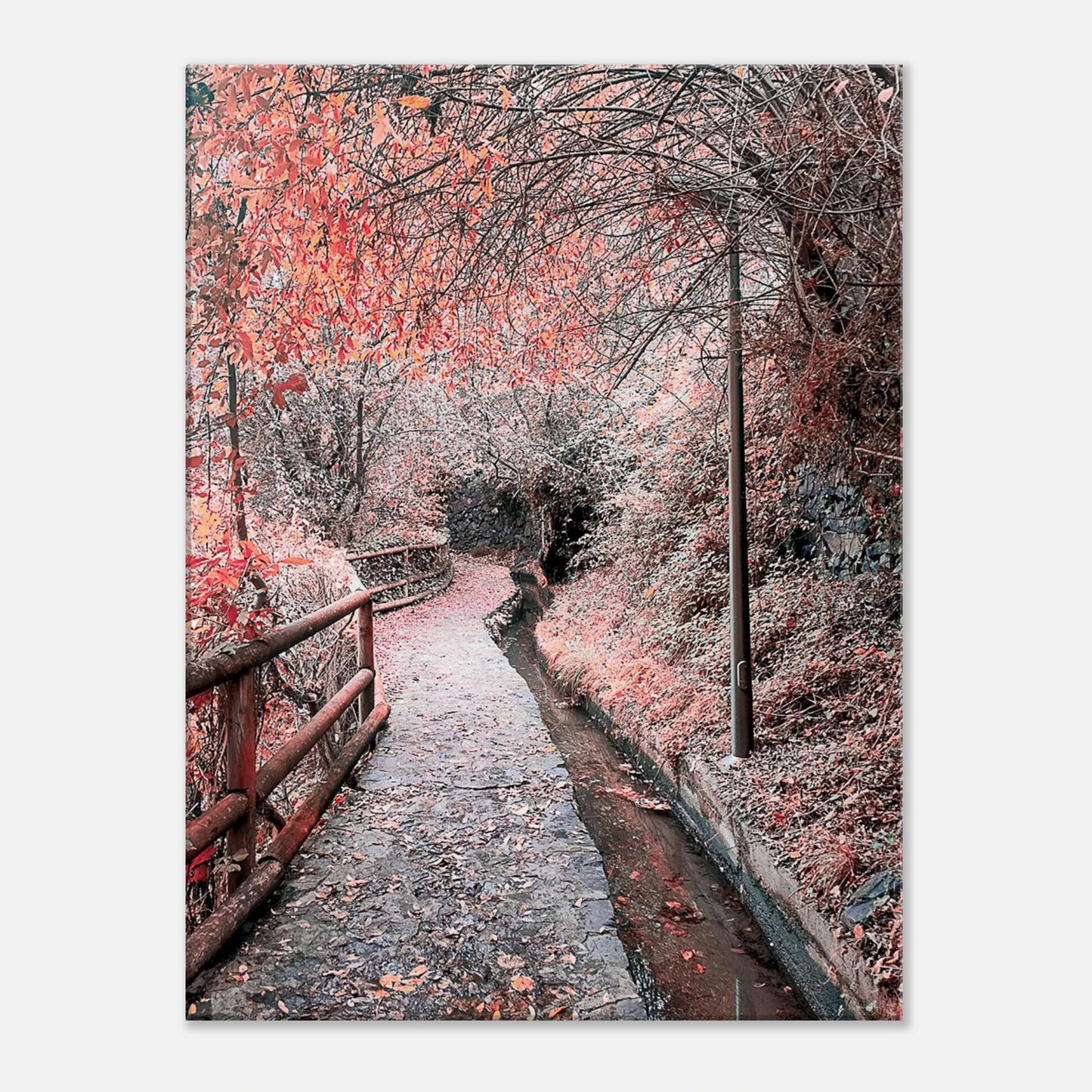 d89c09da-9aa6-481f-a091-bcb4b23757fb