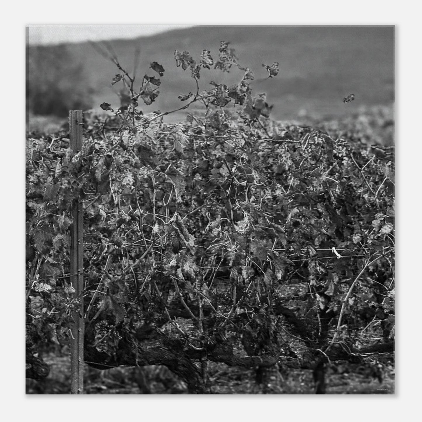 d8a5ab55-8e13-4c6b-90c1-eec46fdc9a2a