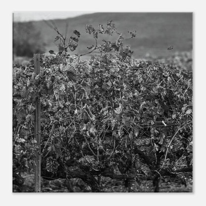 d8a5ab55-8e13-4c6b-90c1-eec46fdc9a2a