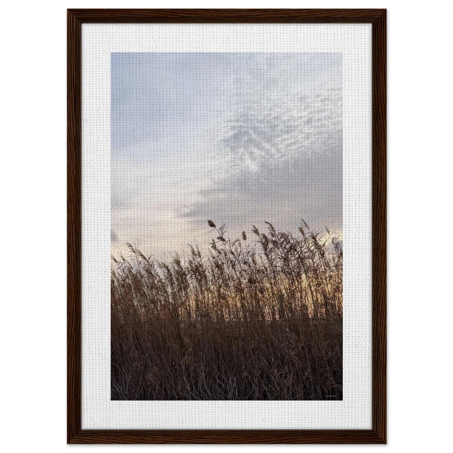 d8adf11e-b072-4531-adbe-6bcbccc0edf6