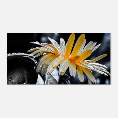 d8c53195-09f2-489f-bec4-8d941d0a1044