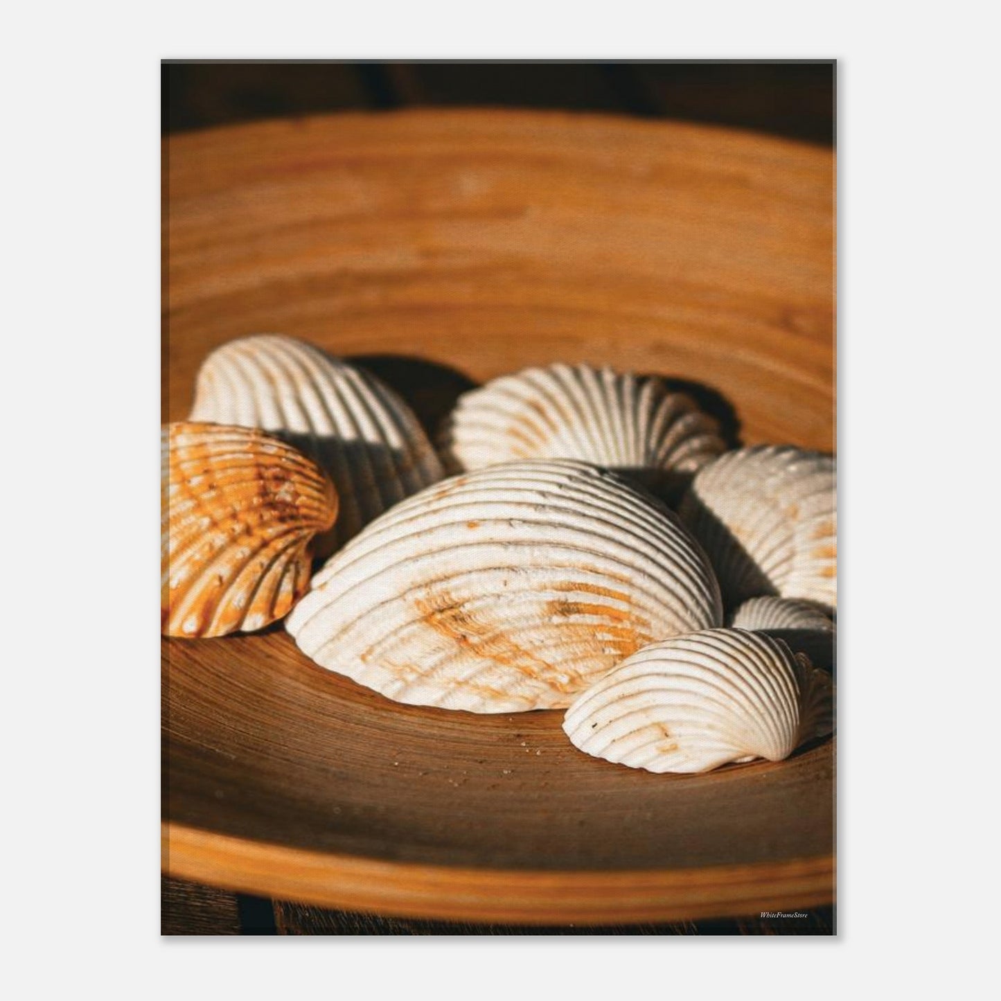 d8d05f0e-a886-4cbe-aa97-ac3ea8d89c1f