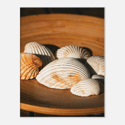 d8d05f0e-a886-4cbe-aa97-ac3ea8d89c1f