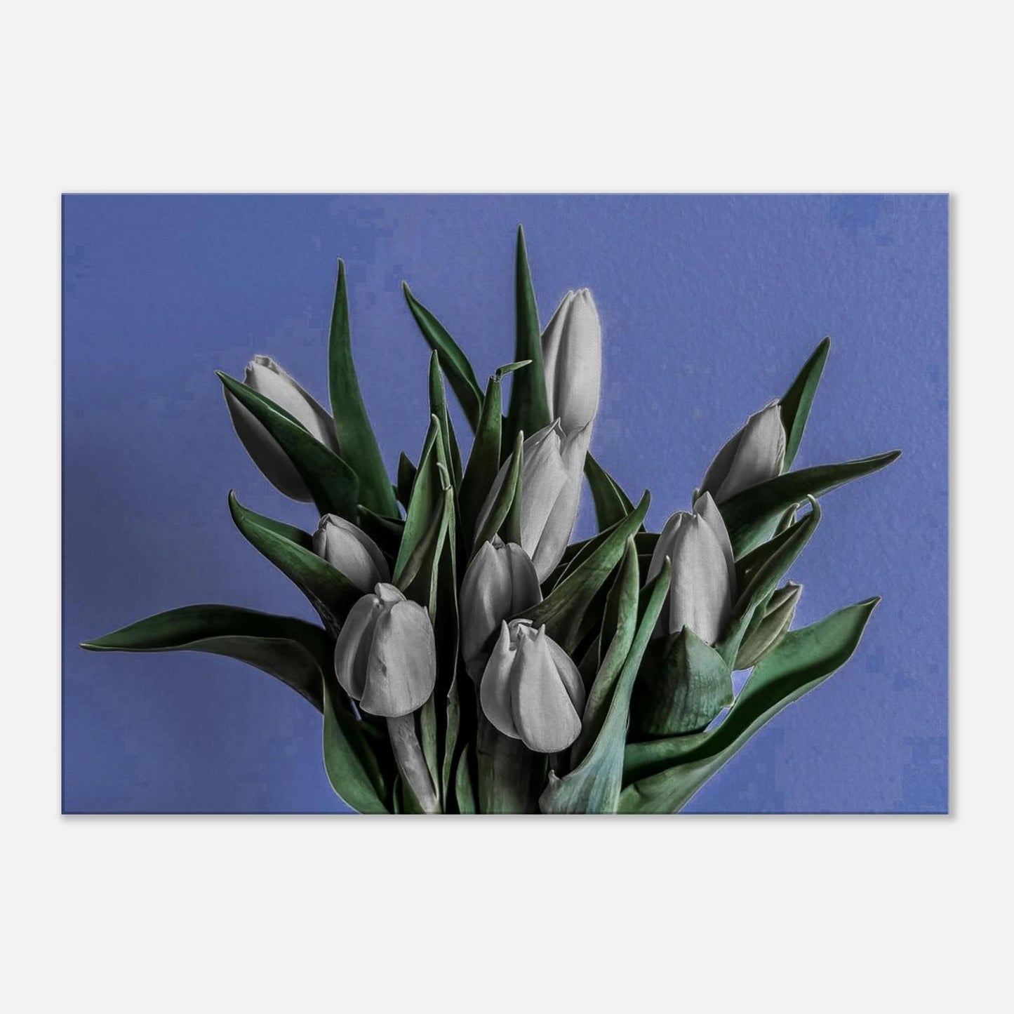 d959e285-05b8-4503-a9d9-98d2da9aa6d5