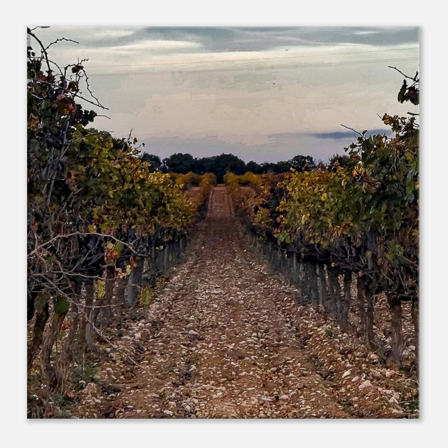 d9833491-04ed-4649-9188-84ae9781fc87