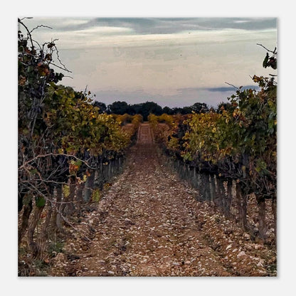 d9833491-04ed-4649-9188-84ae9781fc87