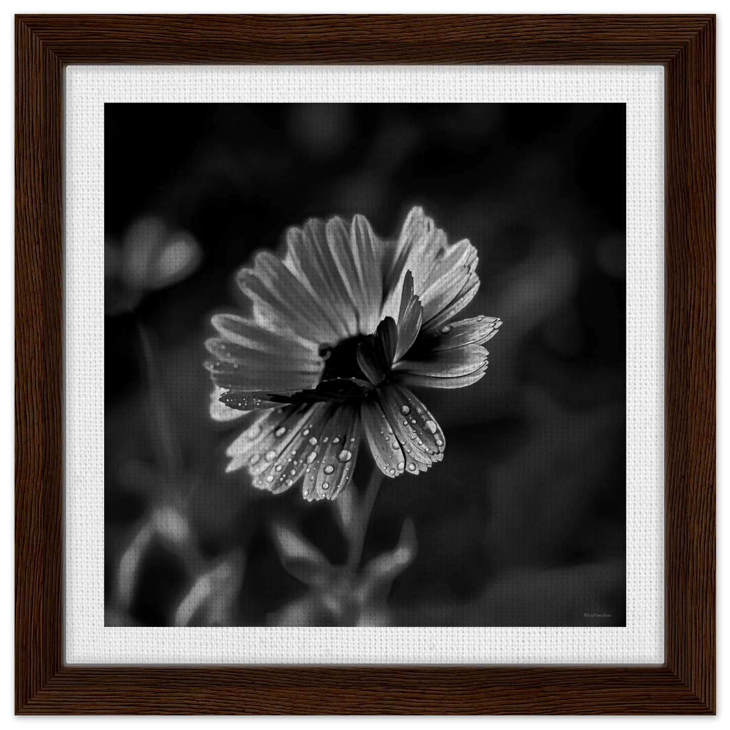 d989dbb0-47c5-465f-8ece-8690d36bb8b5