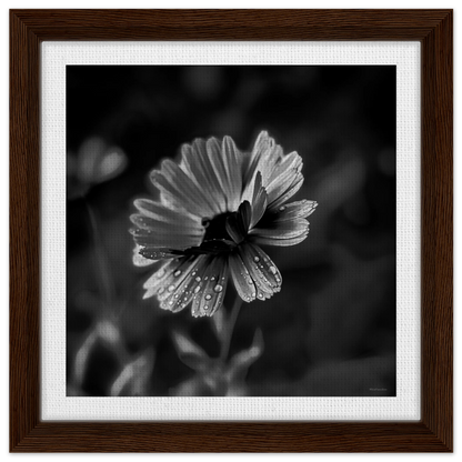 d989dbb0-47c5-465f-8ece-8690d36bb8b5