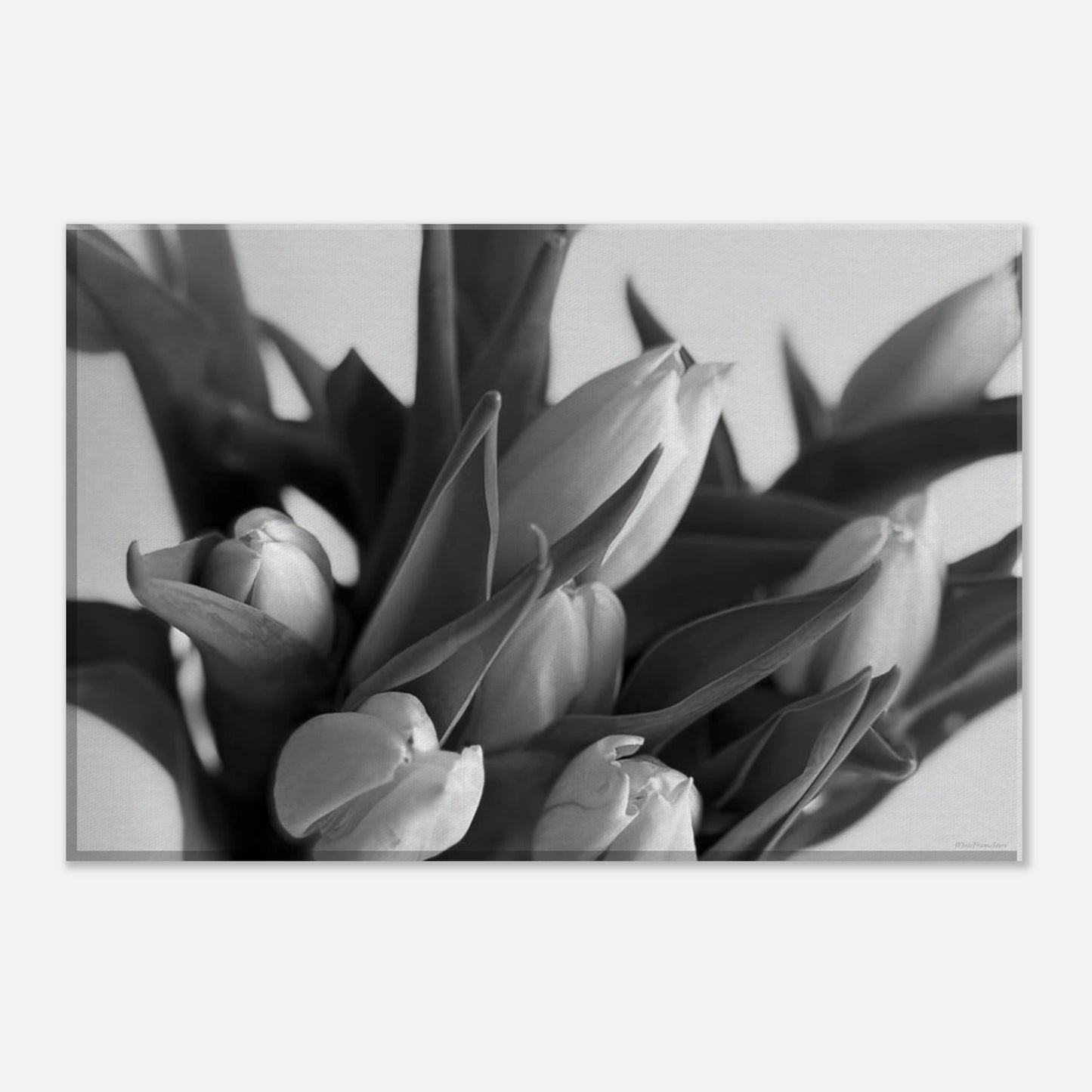 d9a8fb41-d55f-4e8f-ad3c-33f1d6c89f00