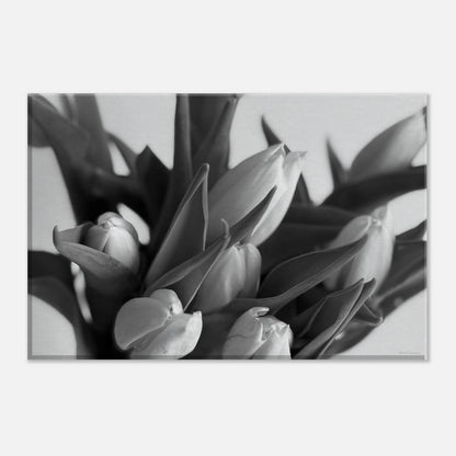 d9a8fb41-d55f-4e8f-ad3c-33f1d6c89f00