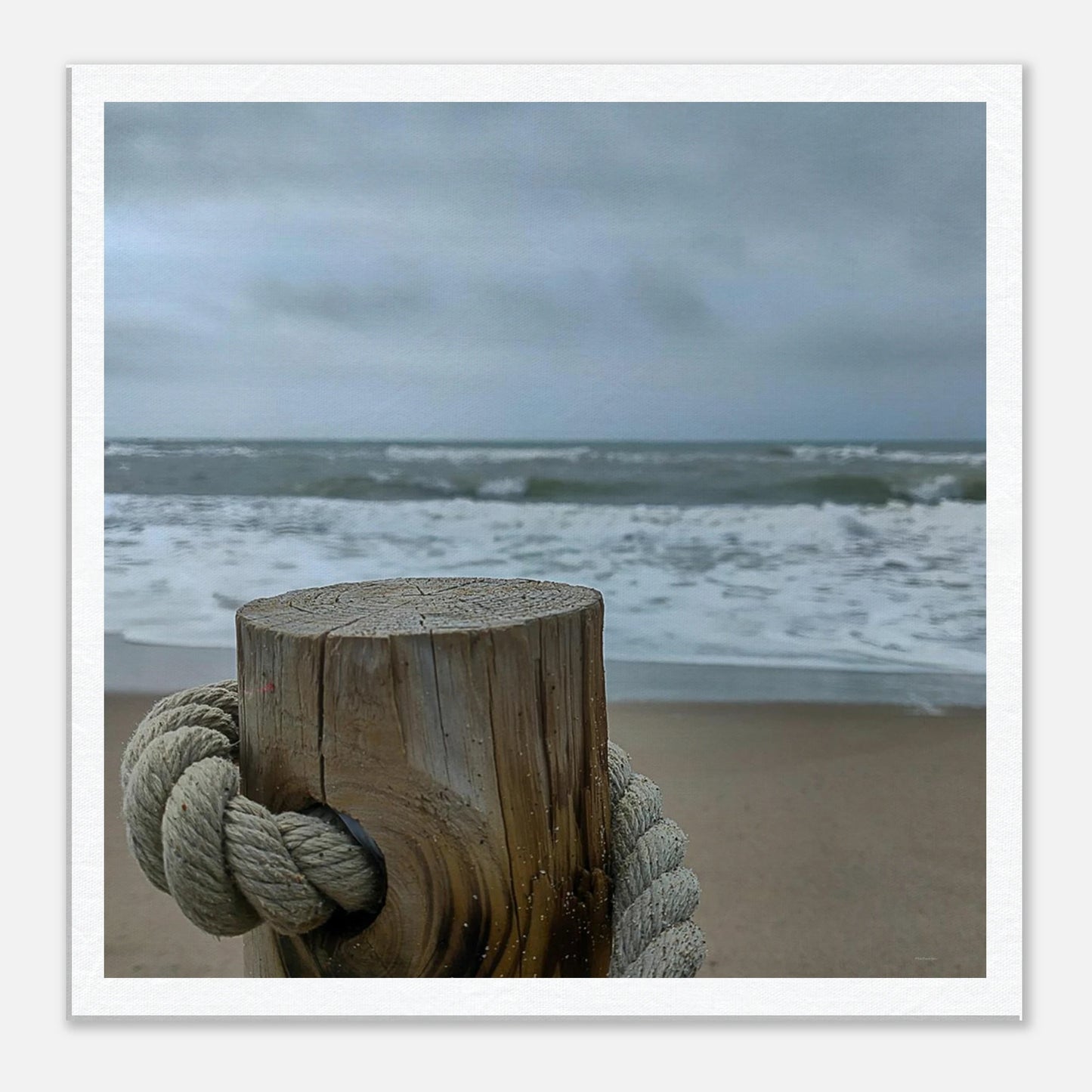 d9b2c37f-2878-409c-b781-1f43f7b3898e