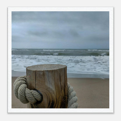 d9b2c37f-2878-409c-b781-1f43f7b3898e