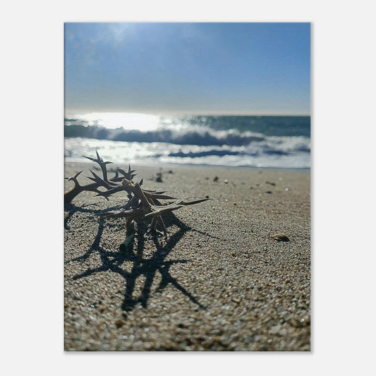 d9d6dbc1-2866-4d7e-8f85-2f3bc676c578