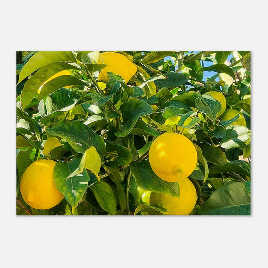 d9e00075-e4b0-4f27-a05e-8021be7b0cb7