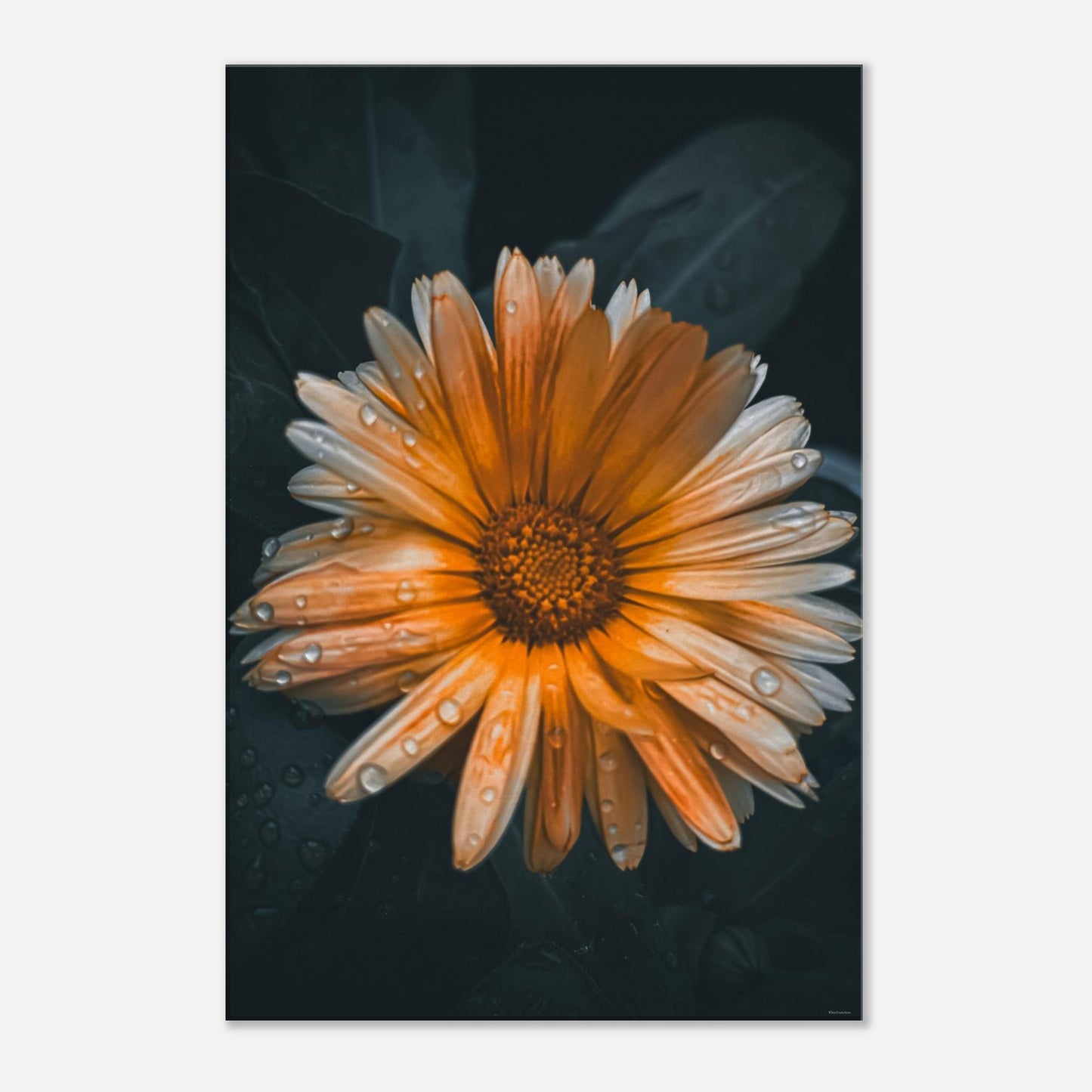 d9e7d2a2-6b5d-4f4e-93b6-405fb7d6eb21