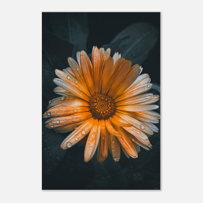 d9e7d2a2-6b5d-4f4e-93b6-405fb7d6eb21