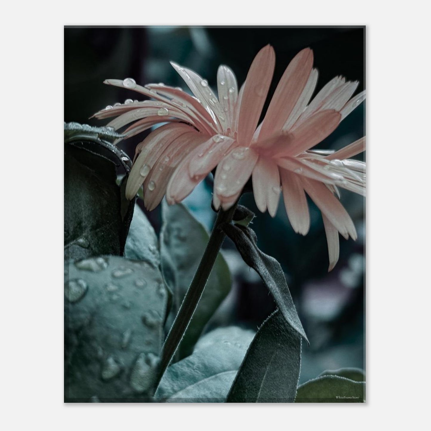 d9f5a0e7-3fe2-44d6-86ba-3dc99e722e76