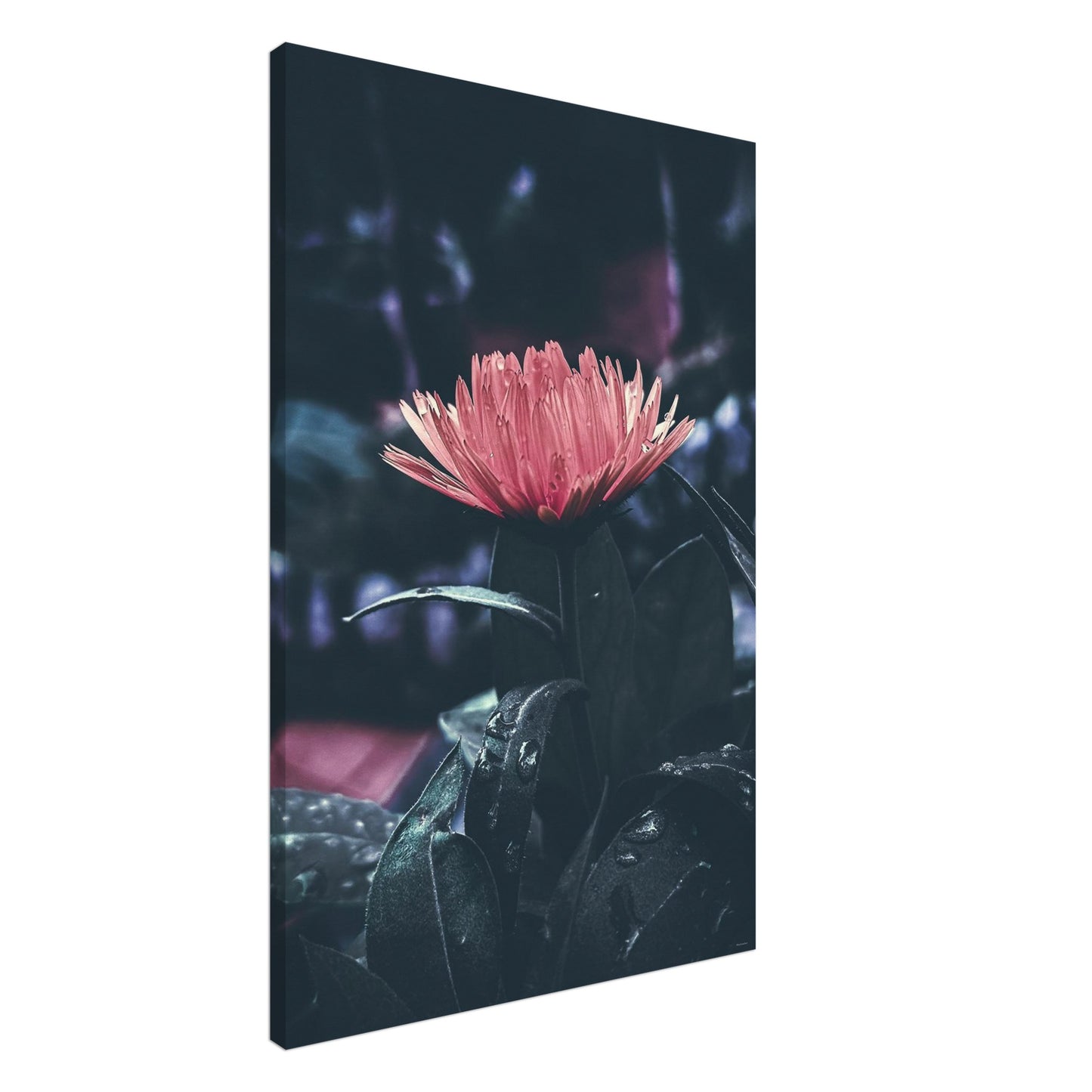 da12fb41-9ede-4f6a-8525-42d0073f60d7