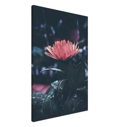 da12fb41-9ede-4f6a-8525-42d0073f60d7