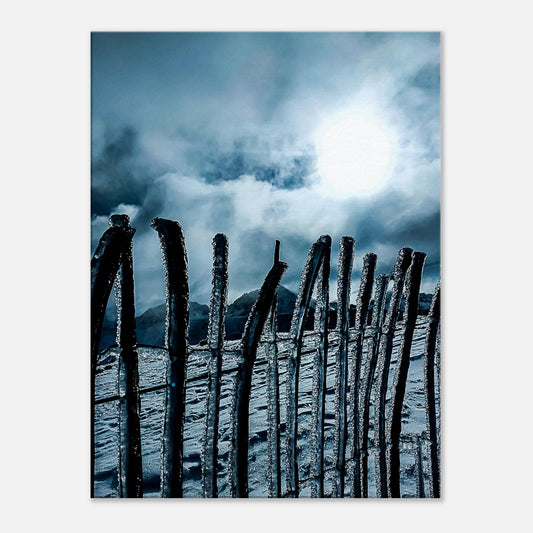 da284f6c-ec8e-4475-a913-96073a936db9