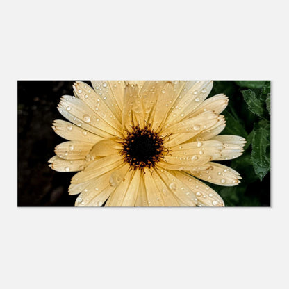 da489c11-fef0-4bee-a002-8612b74566d6