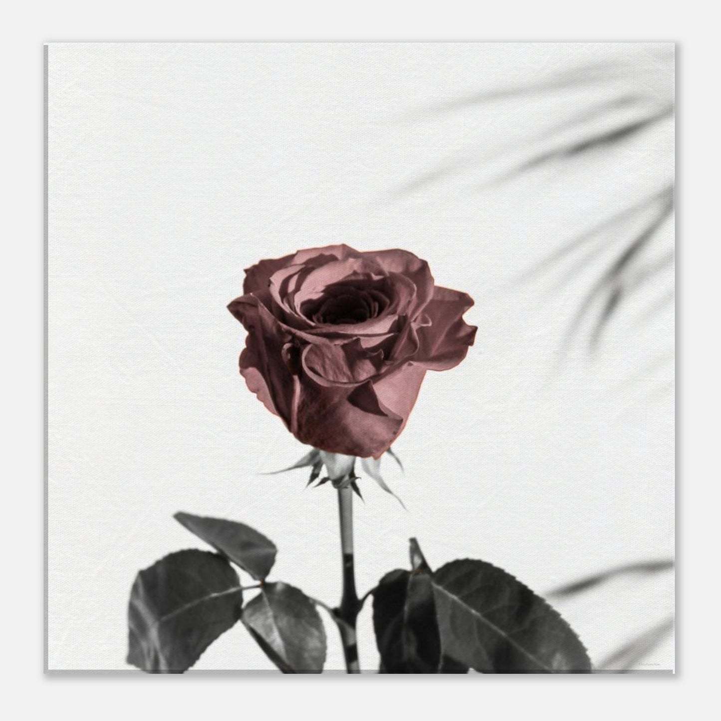 da72dcda-48ba-4849-9f7a-51d4475b25d2