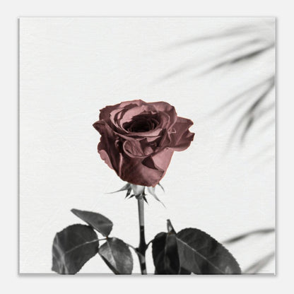 da72dcda-48ba-4849-9f7a-51d4475b25d2