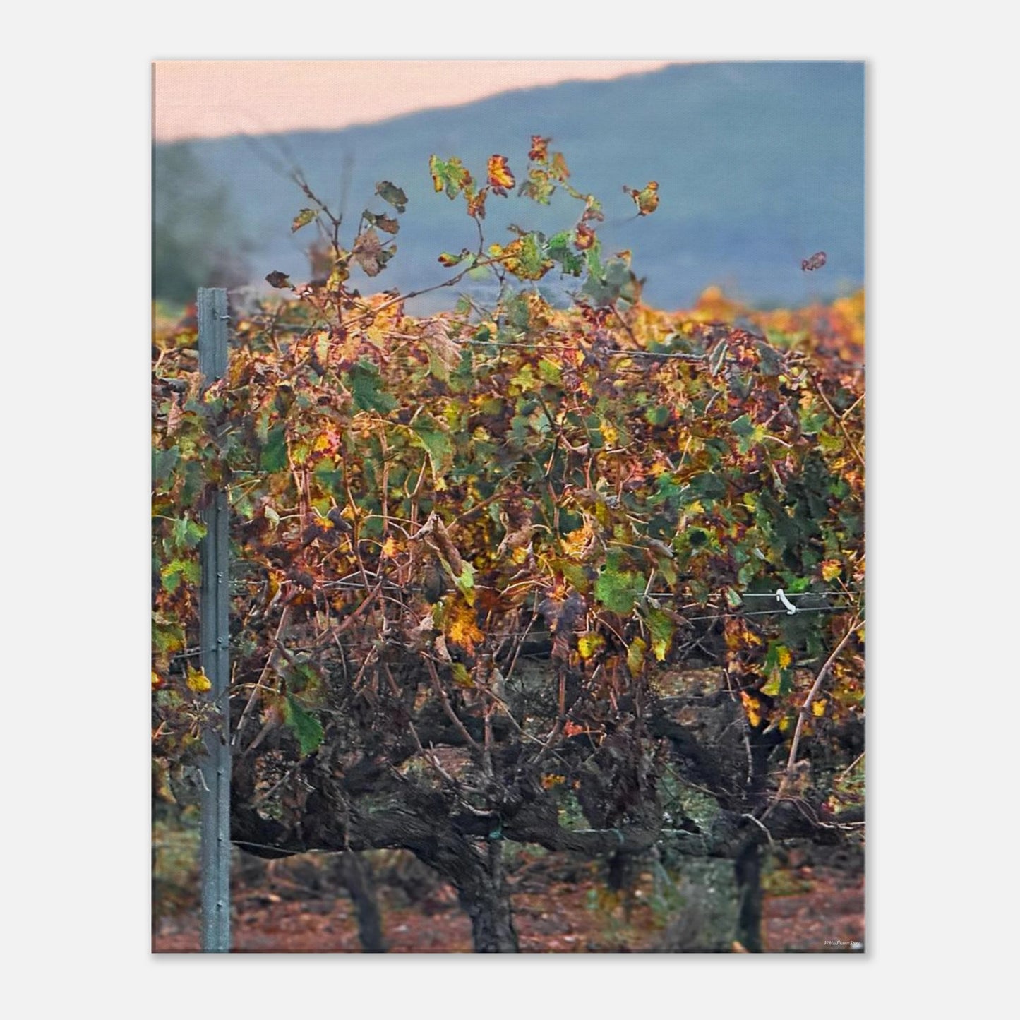 da7bf456-87bc-490a-ae5a-65833ff0b996