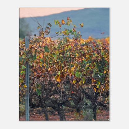 da7bf456-87bc-490a-ae5a-65833ff0b996