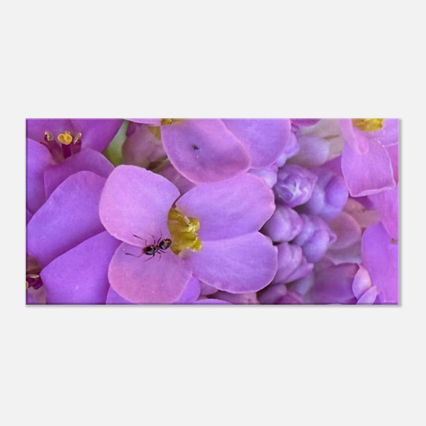 da88c58f-b097-4a5f-b5fc-3c77743b3139