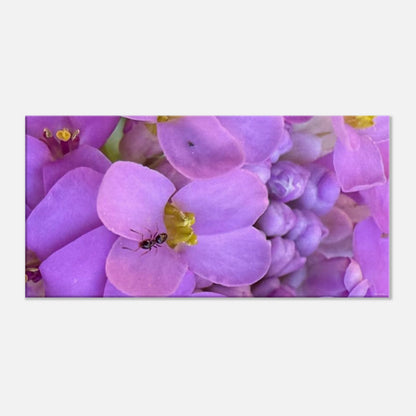 da88c58f-b097-4a5f-b5fc-3c77743b3139