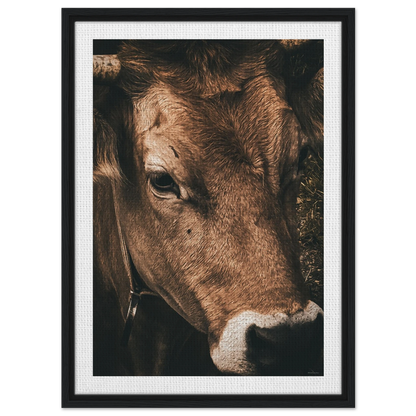 da88fffd-e749-44cf-a050-2b80a95ec743